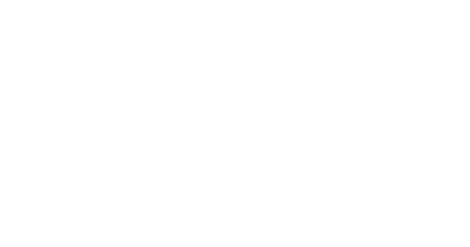 light logo